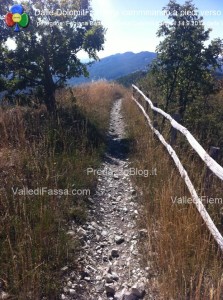 dalla valle di fassa a roma a piedi verso papa francesco sett.ott .2013 predazzo blog19 223x300 dalla valle di fassa a roma a piedi verso papa francesco sett.ott.2013 predazzo blog19